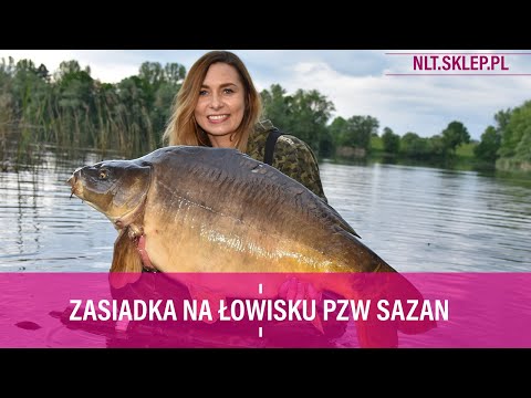 Zasiadka na łowisku PZW Sazan - NLT.SKLEP.PL
