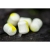 SONUBAITS Band'Um Wafters 6mm Pineapple & Coconut Wafters 6mm-10846